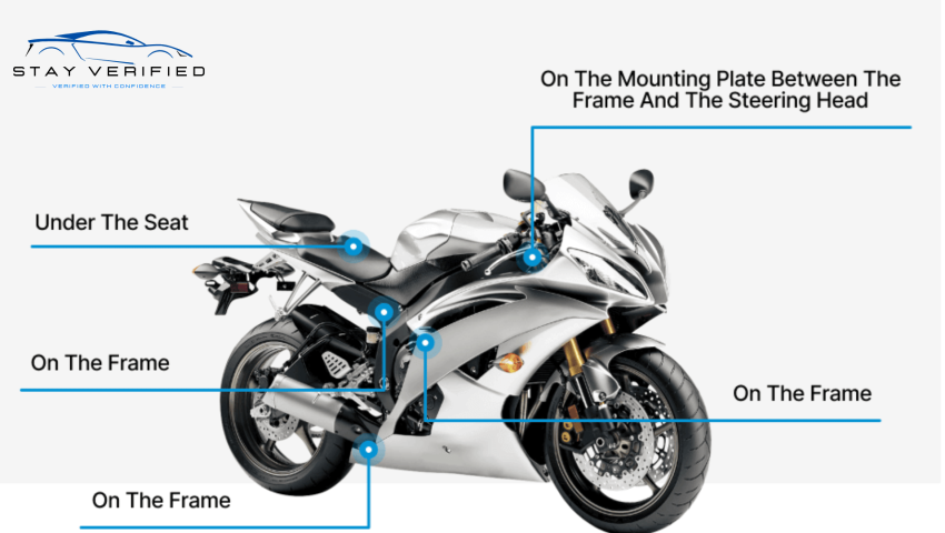 Bike History Report